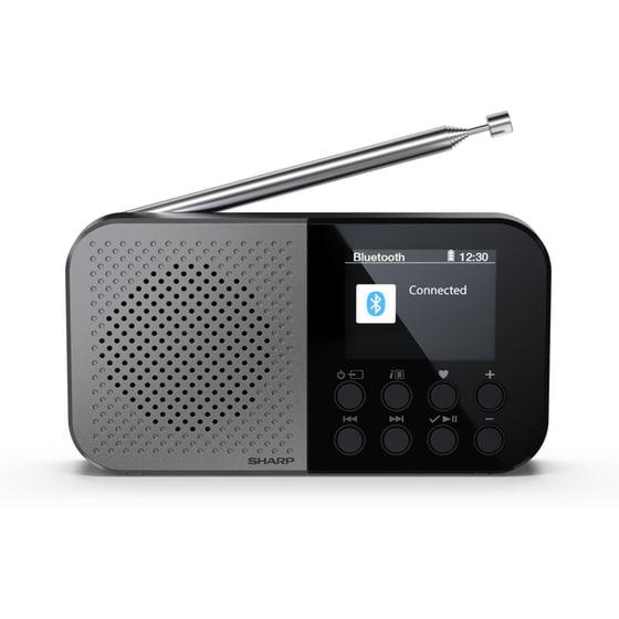 Φορητό Ράδιο Sharp DR-P520 - Γκρι image 1