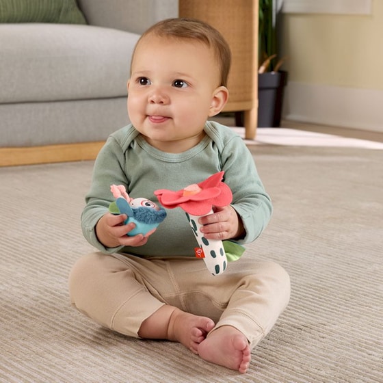 Fisher-Price Κουδουνίστρα Λουλουδάκι-Μελισσούλα (HYR56) image 4