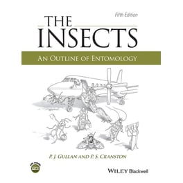 The Insects
