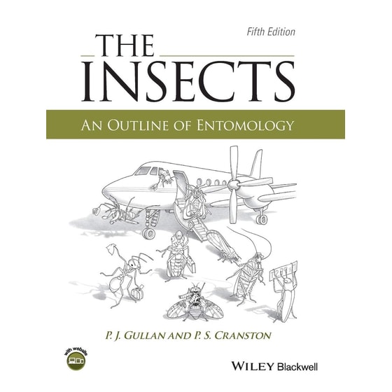 The Insects image 0