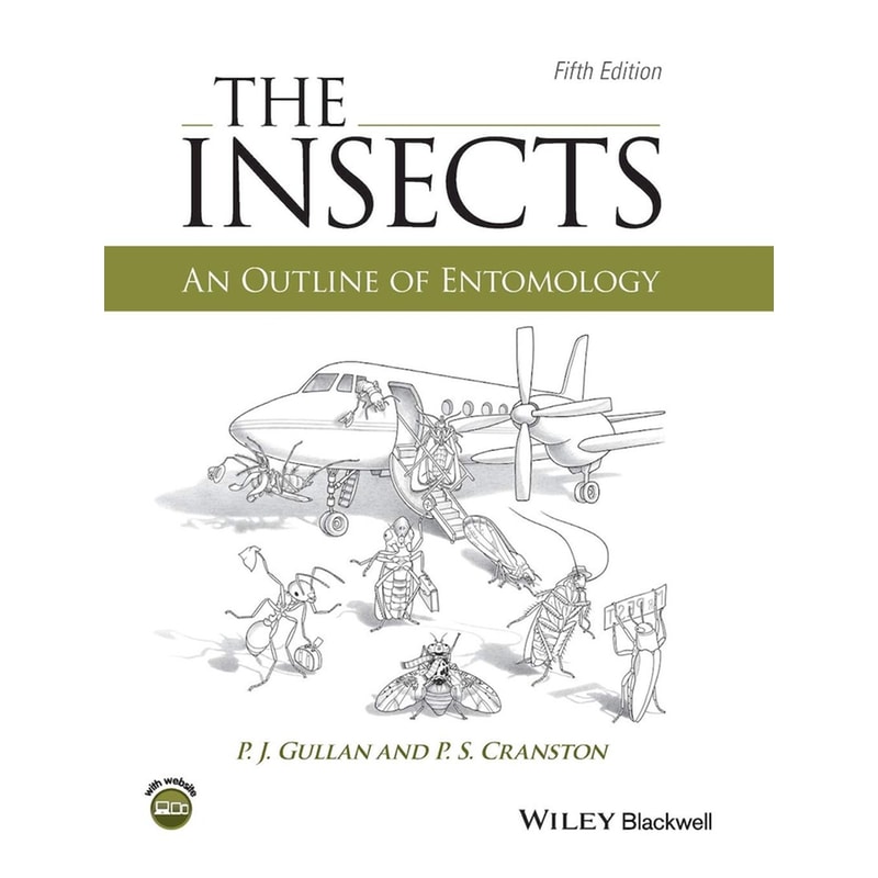The Insects
