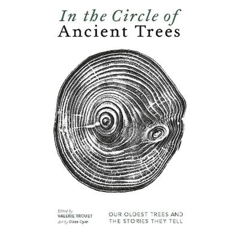 In The Circle of Ancient Trees