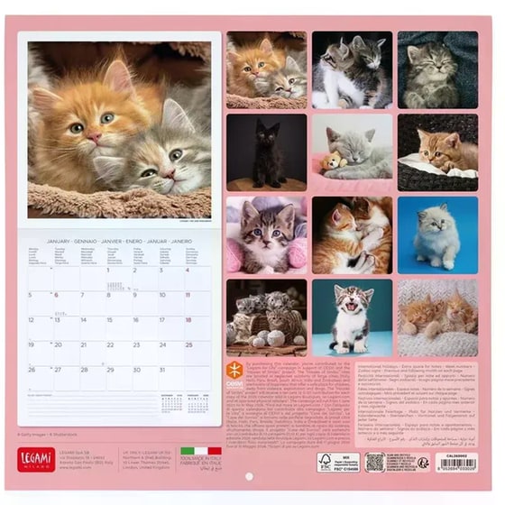 Ημερολόγιο Τοίχου Legami 2026 Kittens 30x29cm image 1