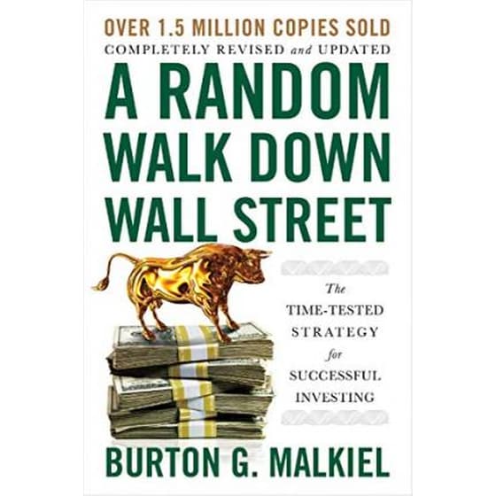 A Random Walk Down Wall Street image 0