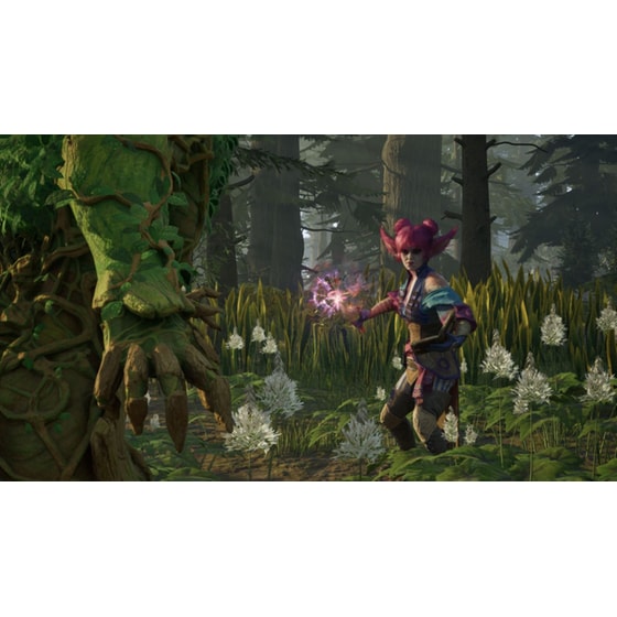 Avowed  Premium Steelbook Edition - Xbox Series X (Code in a Box) image 6