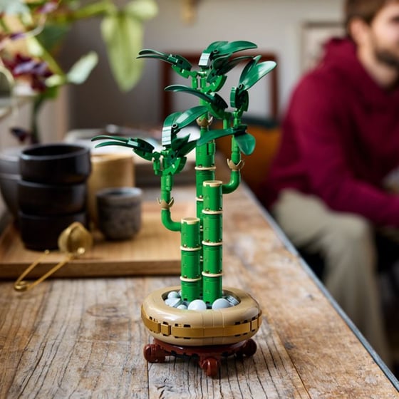 LEGO® Botanicals Lucky Bamboo (10344) image 8