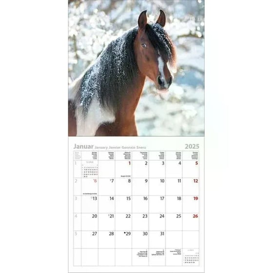 Ημερολόγιο Τοίχου 2025 Horses image 2