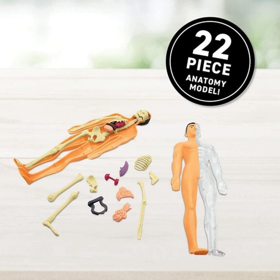 Giftbox Human Body Vr Επιστημονικό Σετ Εικονικής Πραγματικότητας (Abacus Brands) image 3