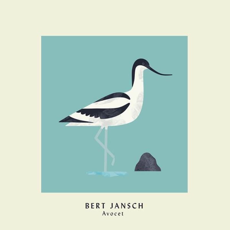 Avocet (Expanded Anniversary Edition)