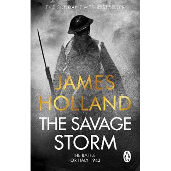 The Savage Storm image 0