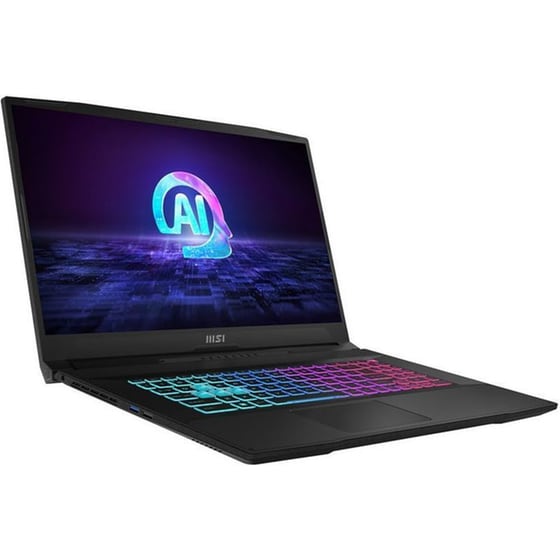 MSI Katana A17 AI B8VF-893 17.3'' FHD IPS (Ryzen 9-8945HS/16GB/1TB SSD/GeForce RTX 4060/Win11Home) Laptop image 1