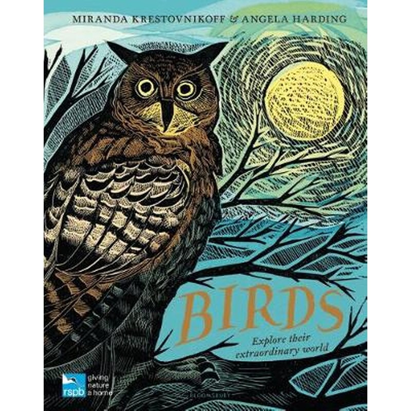 RSPB Birds