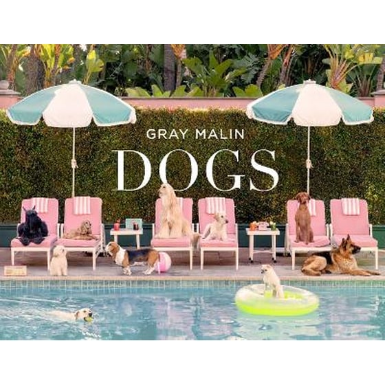 Gray Malin: Dogs image 0
