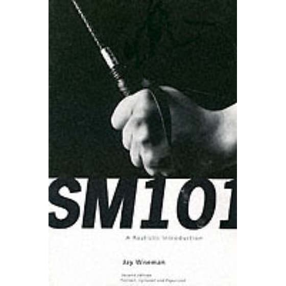 Sm 101: A Realistic Introduction image 0