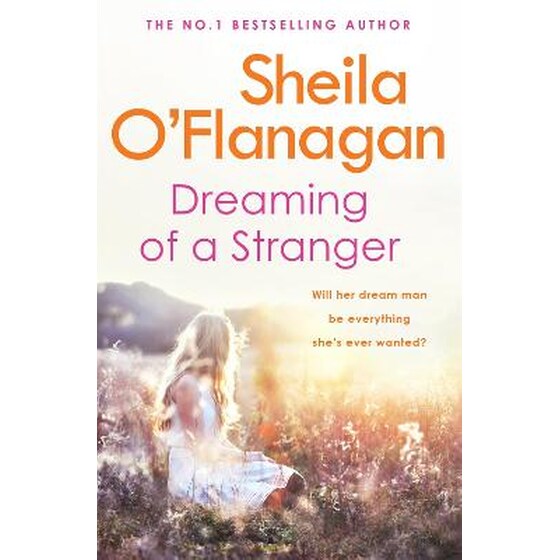Dreaming of a Stranger image 0