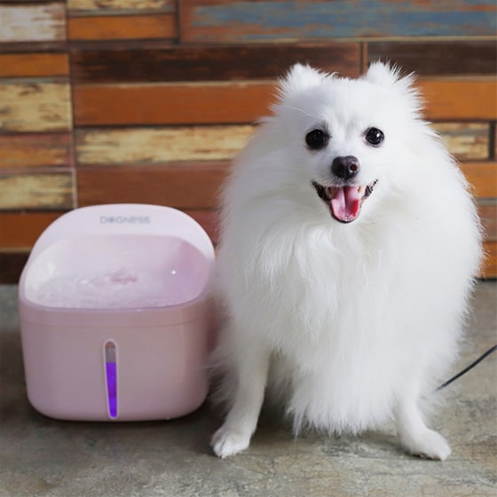 Ποτίστρα Για Σκύλο - Ροζ image 1