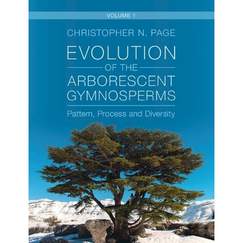 Evolution of the Arborescent Gymnosperms: Volume 1, Northern Hemisphere Focus