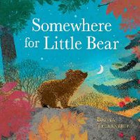 Somewhere for Little Bear image 0