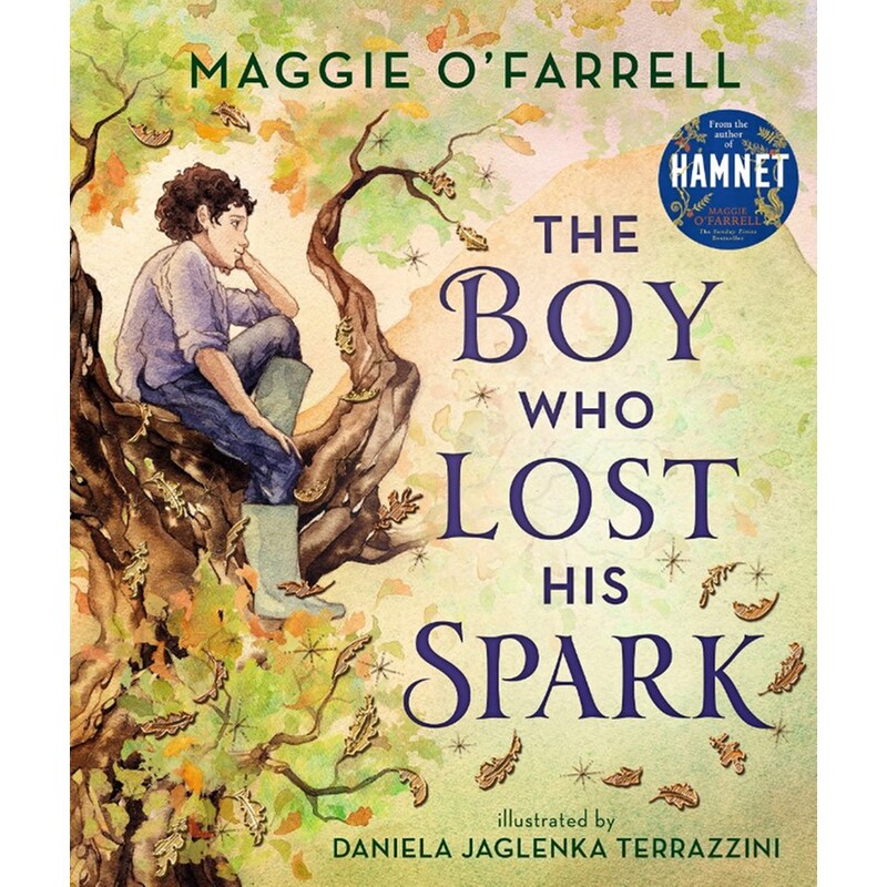 The Boy Who Lost His Spark