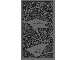 Wessex Poems and Other Verses image 0