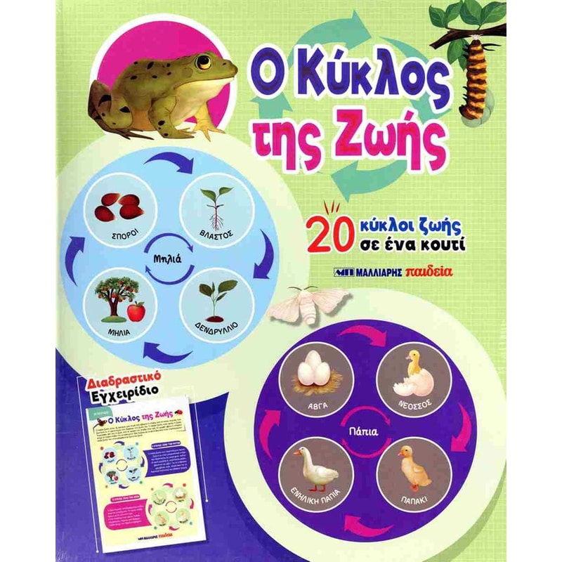 Ο κύκλος της ζωής