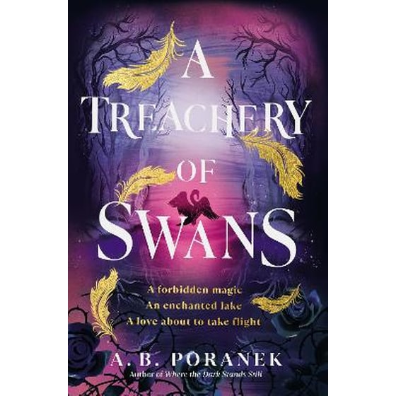A Treachery of Swans image 0