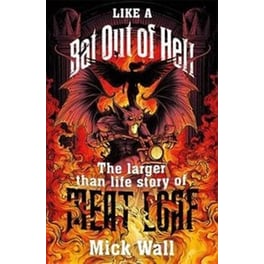 Like a Bat Out of Hell
