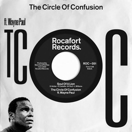 Soul Of A Lion / Dub Mix