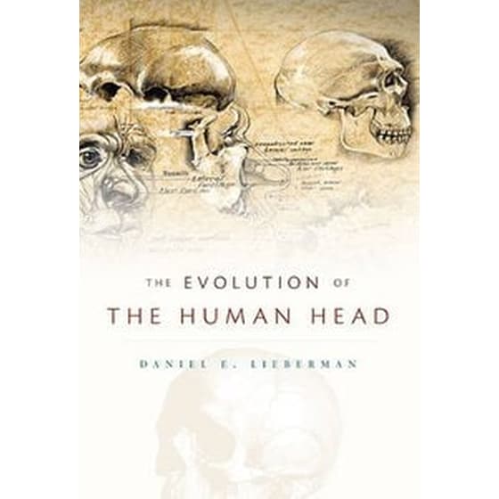 THE EVOLUTION OF THE HUMAN HEAD image 0