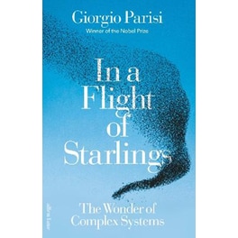 In a Flight of Starlings