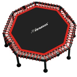Τραμπολίνο PEGASUS Οκτάγωνο 48cm
