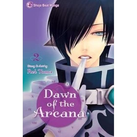 Dawn of the Arcana, Vol. 2 image 0