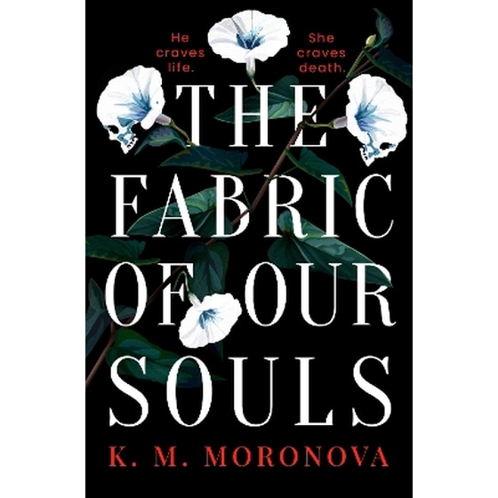 The Fabric of Our Souls image 0