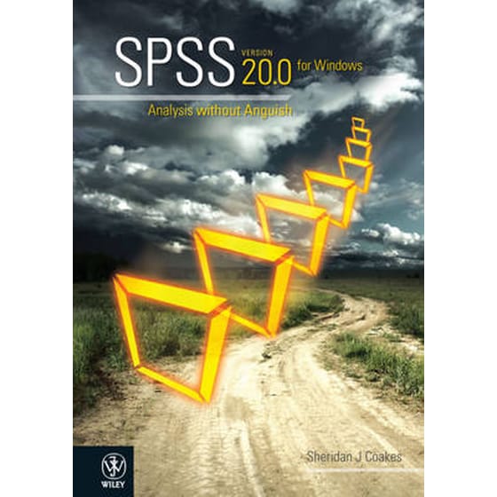 SPSS Version 20.0 for Windows image 0