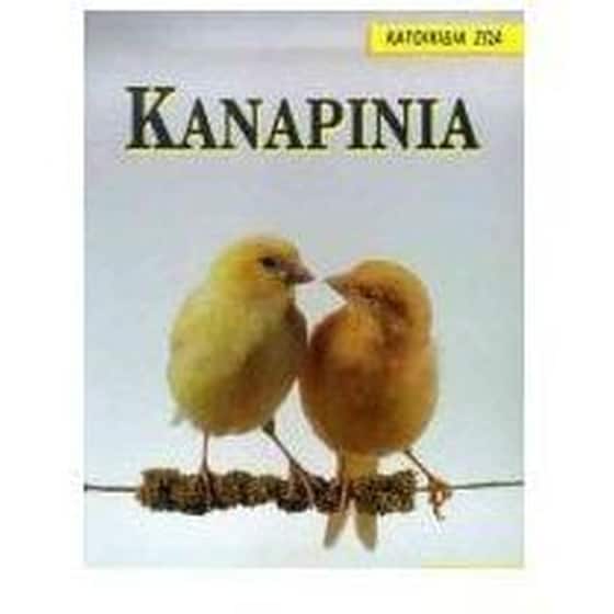 Καναρίνια image 0