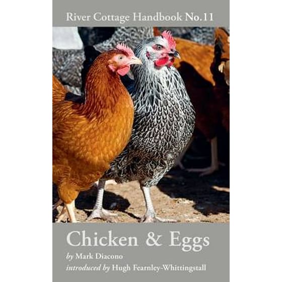 Chicken & Eggs image 0