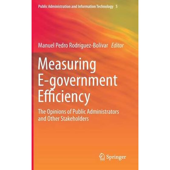 Measuring E-government Efficiency image 0