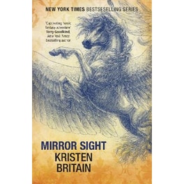 Mirror Sight