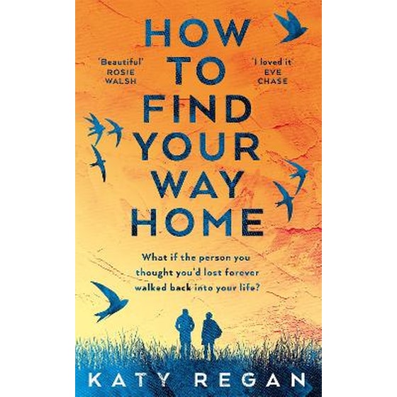 How To Find Your Way Home image 0