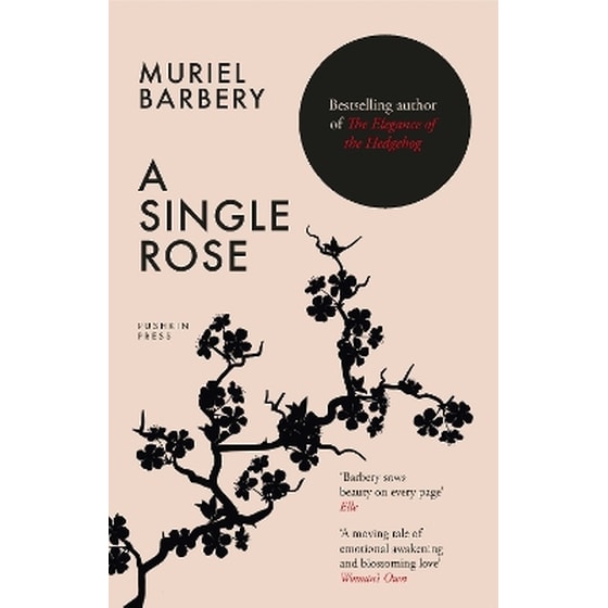 A Single Rose image 0