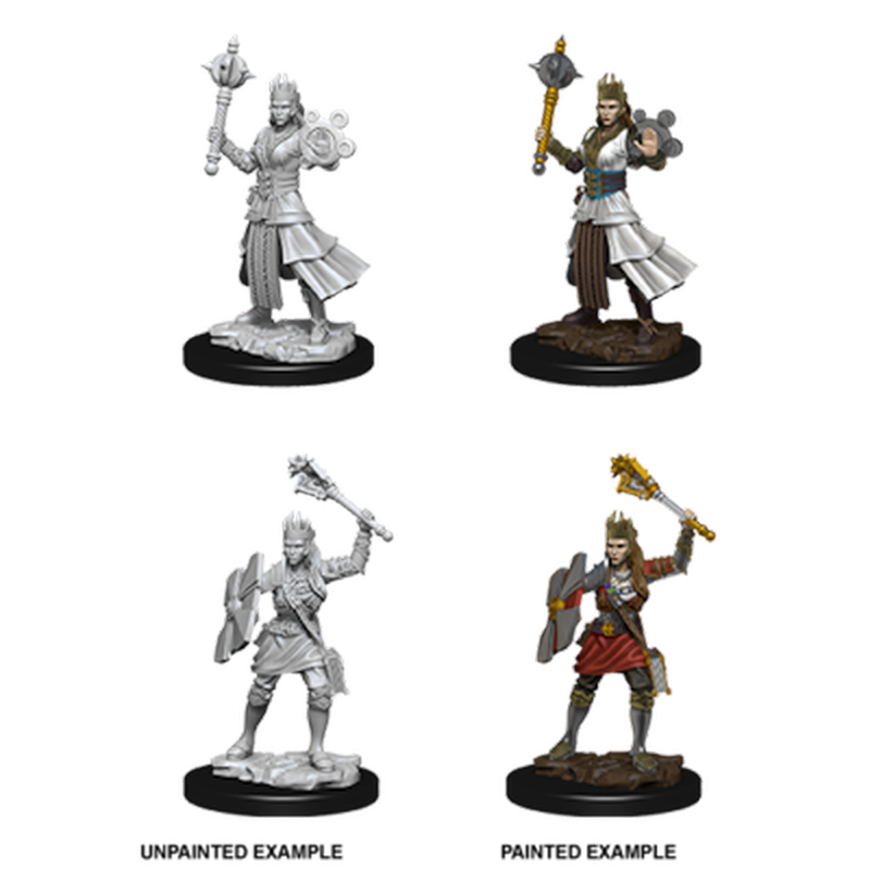 Wizkids Games Human Cleric Female (Nolzur)
