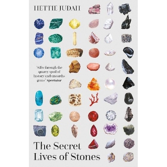 The Secret Lives of Stones image 0