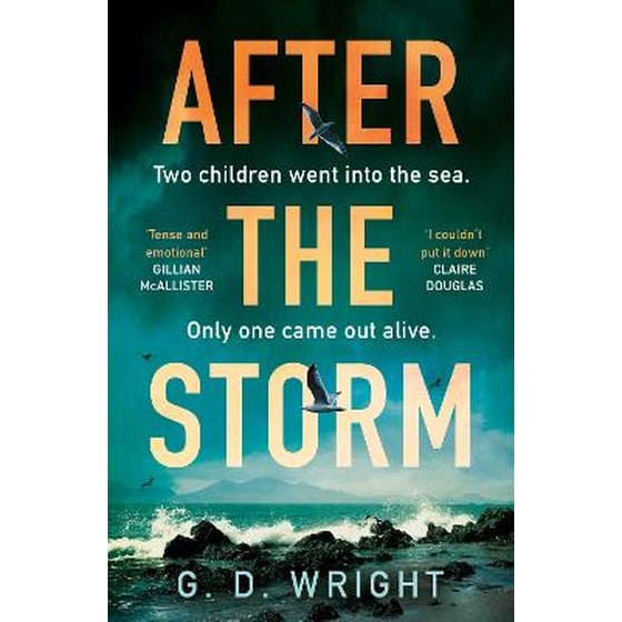 After the Storm image 0
