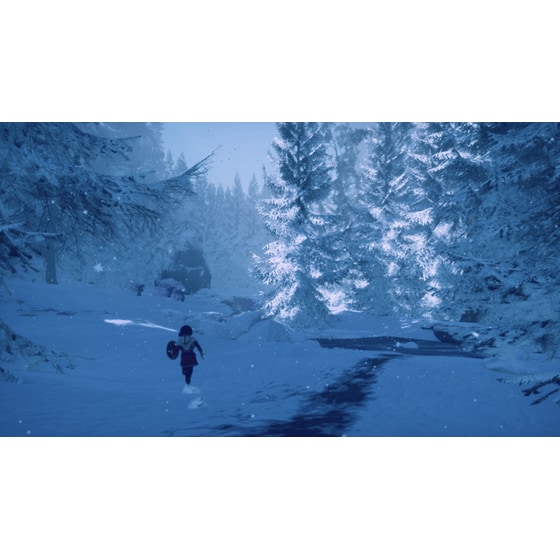 Skabma: Snowfall - PS4 image 14
