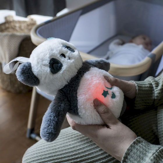 Tommee Tippee Λούτρινο Βρεφικό Κρεμαστό Παιχνίδι Pip Panda Deluxe image 9