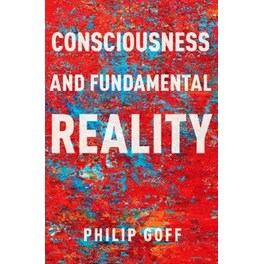 Consciousness and Fundamental Reality