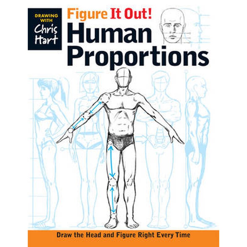 Figure It Out! Human Proportions