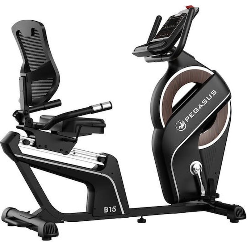 Καθιστό Ποδήλατο PEGASUS B15 Μαγνητικό Με Ροδάκια