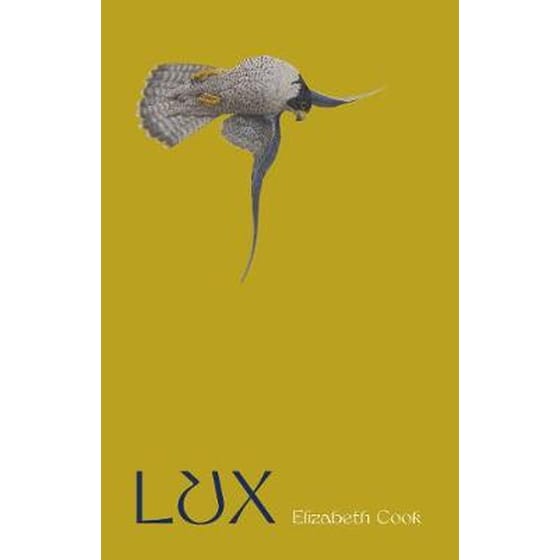 Lux image 0
