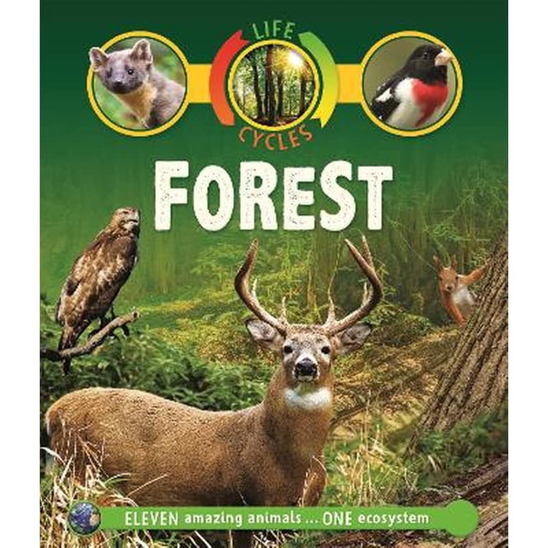 Life Cycles: Forest